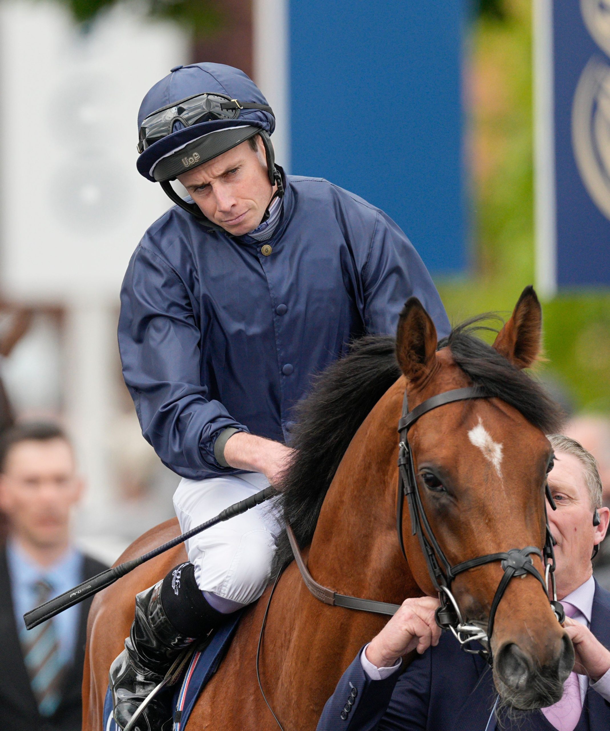 City of Troy, an odds-on favourite, ended up finishing a distant ninth in the 2,000 Guineas